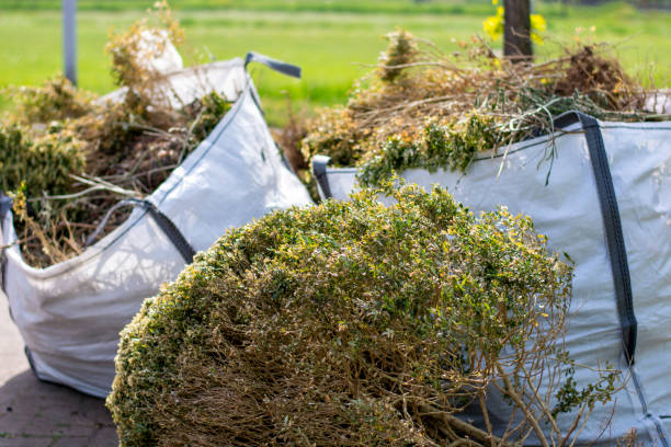 Best Commercial Junk Removal  in Genesee, CO