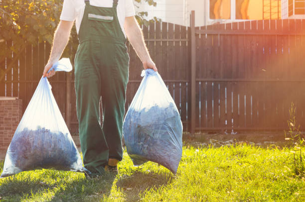 Best Electronics and E-Waste Disposal  in Genesee, CO
